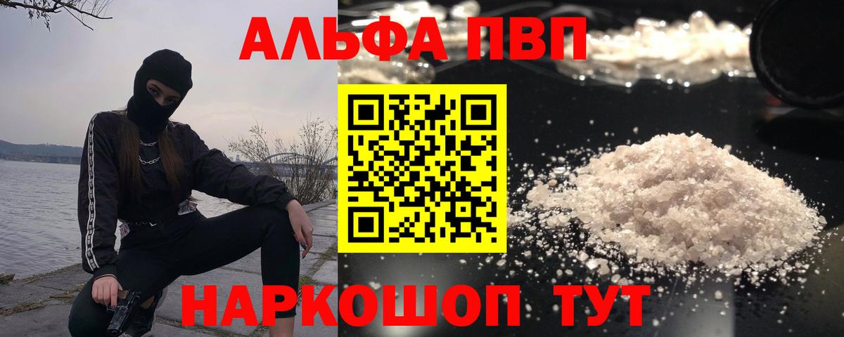 Альфа ПВП СК Старая Русса