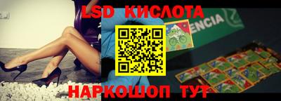 шишки Будённовск