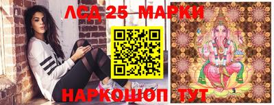 шишки Будённовск