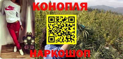шишки Будённовск